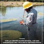 Oaxaca avanza hacia la eliminación del paludismo: SSO