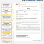 ¿Quieres solicitar información pública? Conoce el proceso