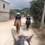 A caballo y con paso firme, Agrupamiento de Caballería refuerza la seguridad en Oaxaca de Juárez